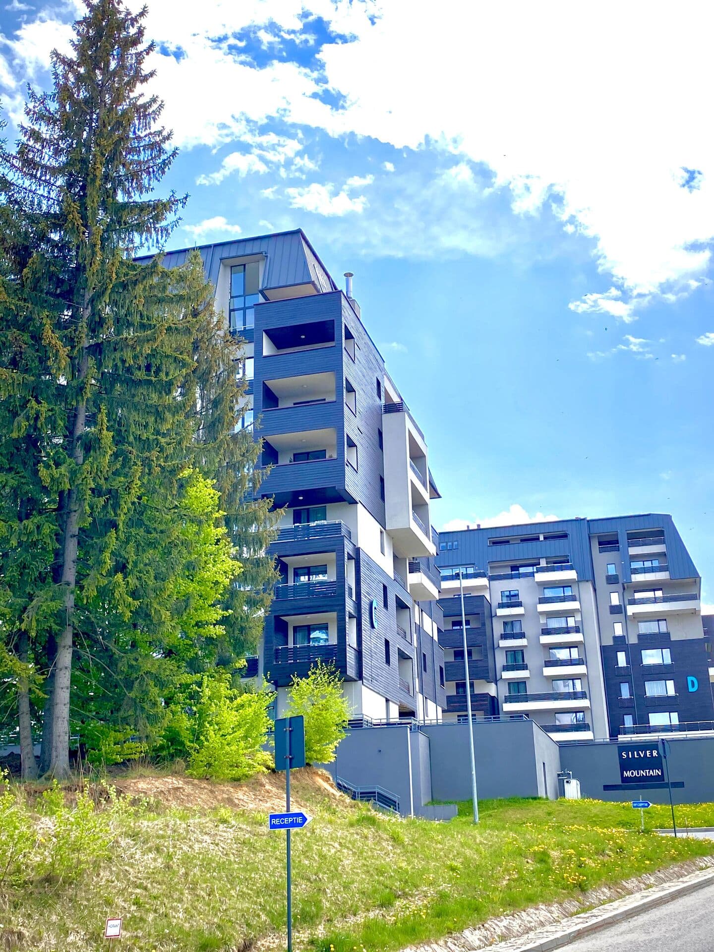 Complex Silver Mountain