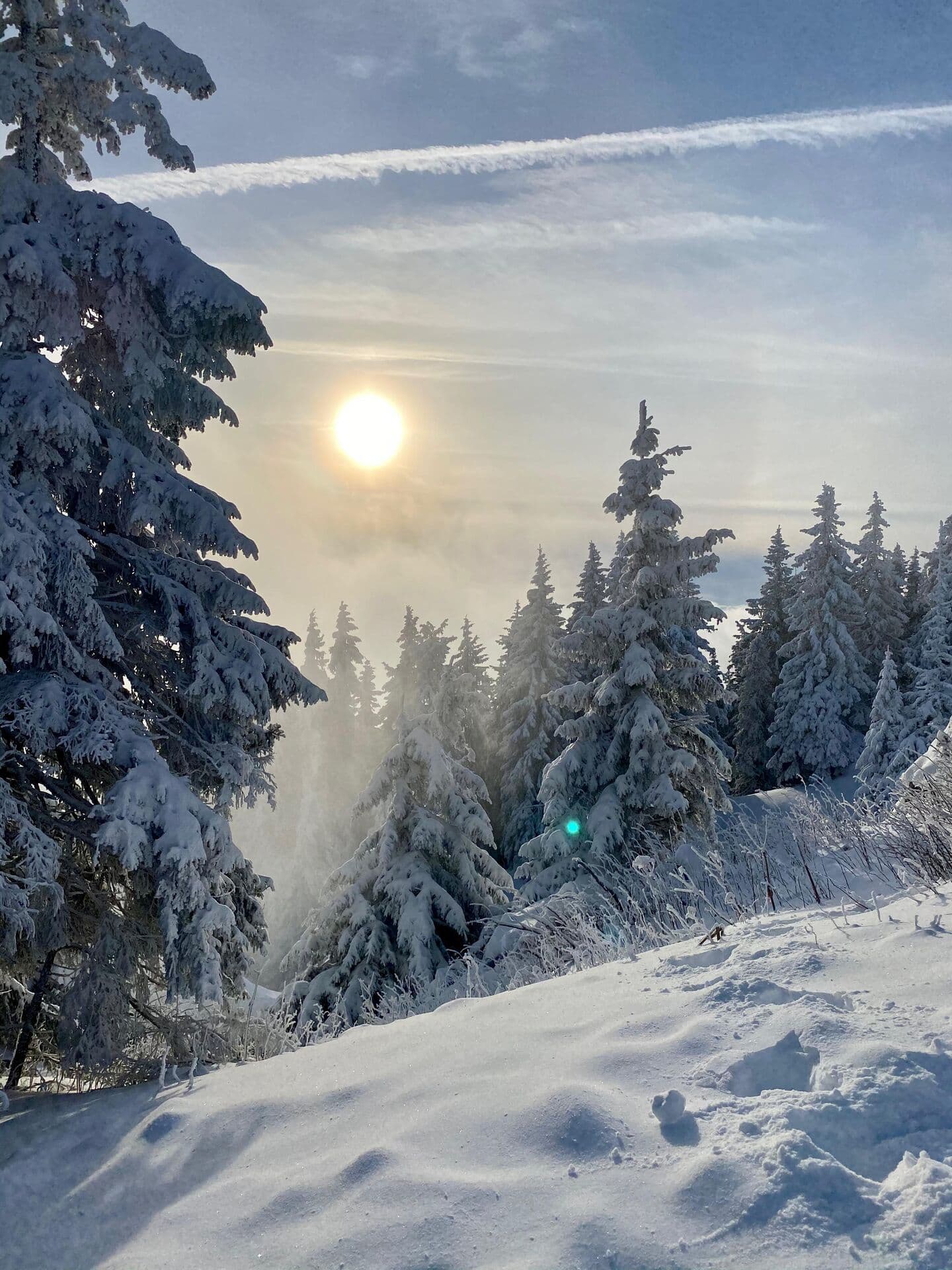 Complex Silver Mountain