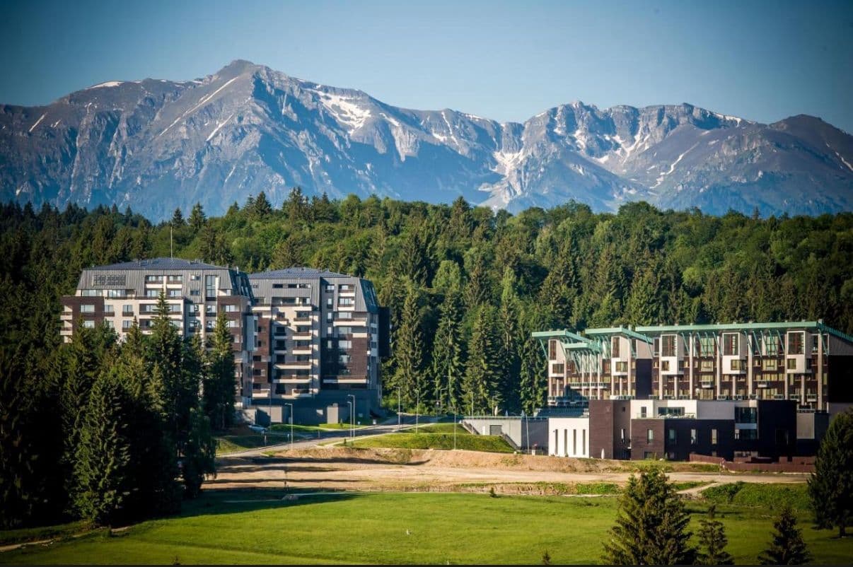 Complex Silver Mountain