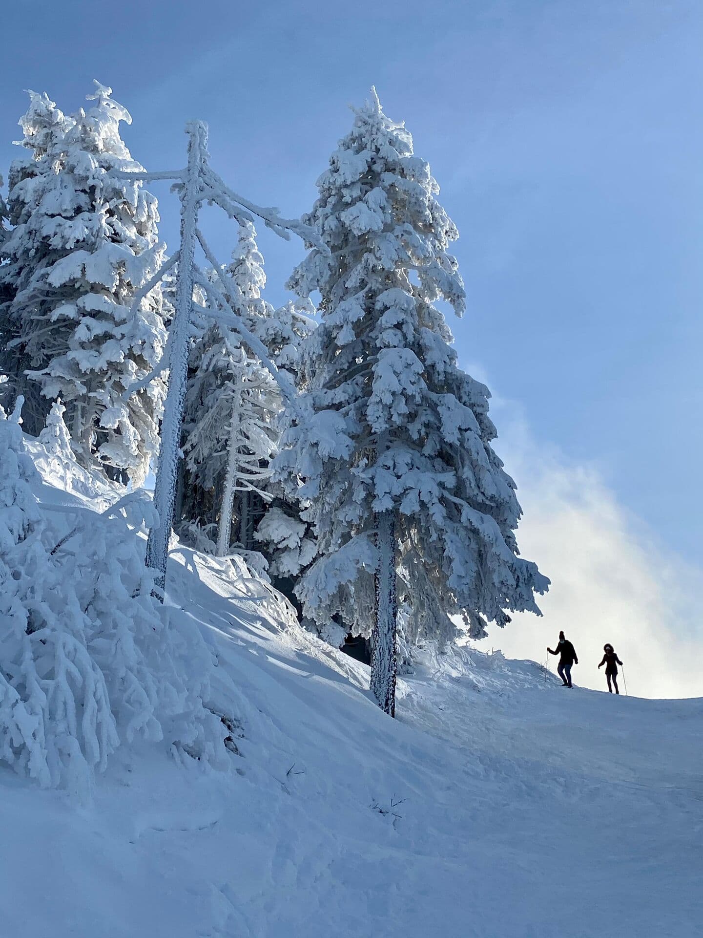 Complex Silver Mountain